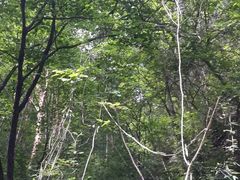 -洛阳白云山景区