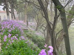 -紫金山天文台