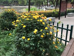 -西安市长乐公园