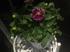 -海底捞火锅(公益西桥店)