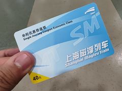 -龙阳路磁悬浮列车总站-停车场