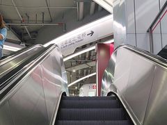 -东方体育中心(地铁站)