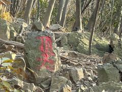 -紫金山山顶公园