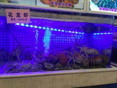 -东方御宴海鲜酒楼(棕泉酒店)