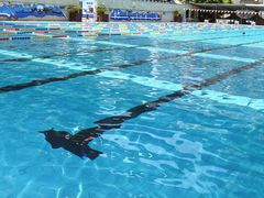 -朱毅育龙游泳俱乐部