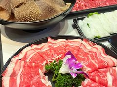 -鼎膳常火锅(华阳店)