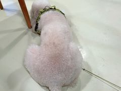 -小意思咖啡店(草桥店)