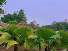 -中国科学院西双版纳热带植物园