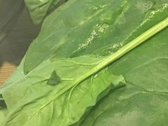 -新辣道鱼火锅(领展购物广场·中关村店)