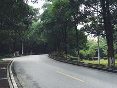 -三水森林公园