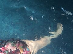 -晋爵会游泳馆(海湾公园店)