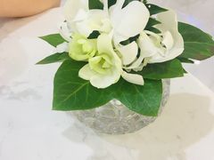 -青瓷火锅料理(西单大悦城店)