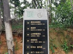 -南岗山公园