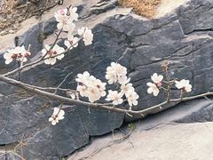 -居庸关长城