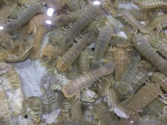 -渔傅·蓝海岸霞浦海鲜(正祥店)