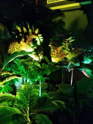 -恐龙探索乐园(磁器口店)