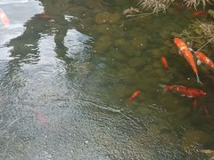 -径山寺