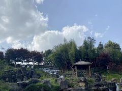 -秀丽东方