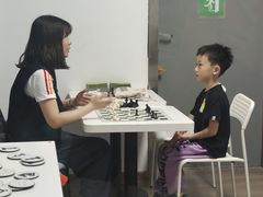 -常青藤国际象棋(新奥店)