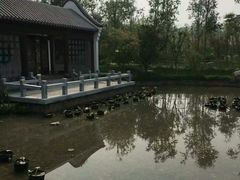 -武清南湖绿博园