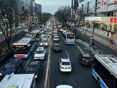 -安徽阜阳卷馍(西单店)