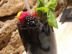 黑莓莫吉托-Cera 23