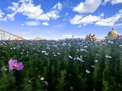 -满洲里口岸套娃景区