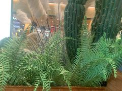 -芭札·Thai泰国餐厅(同和金铂天地店)