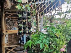 -Jungle Kitchen
