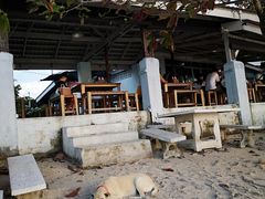 -Scarborough Fish & Chips- Tanjung Rhu