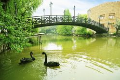 -金庭庄园酒店彩虹厅