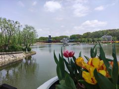 -上海鲜花港