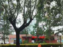 -马濠公园