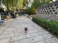 -春风习习