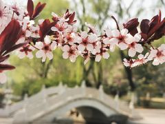 -济南植物园