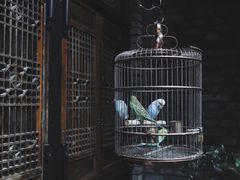 -鱼桥巷·美学川菜