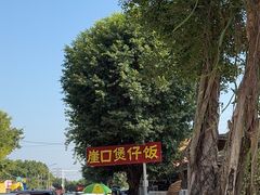-崖口煲仔饭