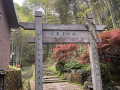 -午潮山国家森林公园