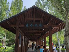 -护国法轮寺