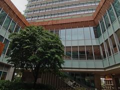 -香港大学