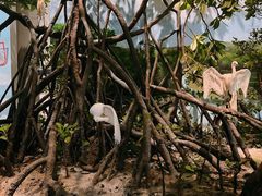 -中国湿地博物馆