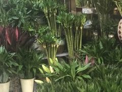 -双季花艺园艺市场(浦东店)