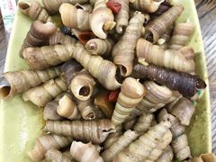 -贞姨美食·老字号海鲜大排档