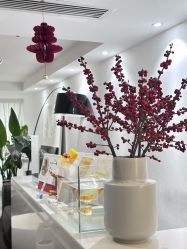 -春田皮肤管理中心品牌旗舰店