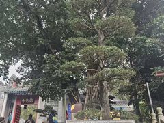 -国恩寺