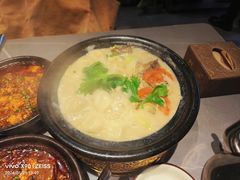 鲫鱼水饺-陶德砂锅(蜀汉路店)