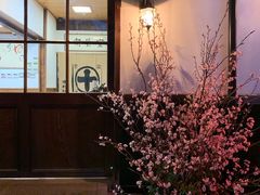 -中村藤吉(本店)