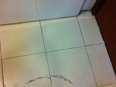 IMG_0135-上海华凯华美达广场酒店