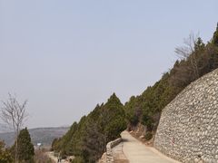 -府君山公园