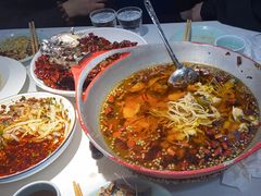 -蜀龙阁· 龍头水煮鱼(天坛店)